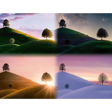 Ravensburger Puzzle: Roční období 2000 dílků