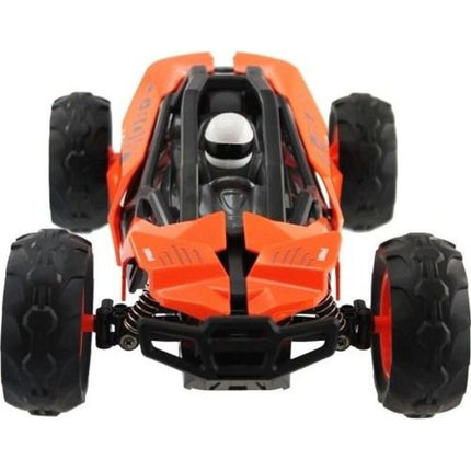 Rychlá bugina 1 : 14