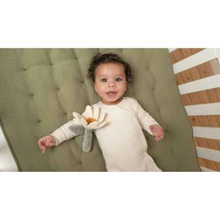 Chrastítko květina Farma