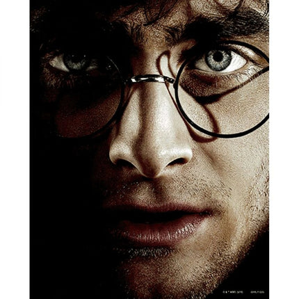 3D obraz Harry vs. Voldemort - Harry Potter