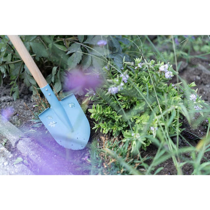 Lopata Forest Friends