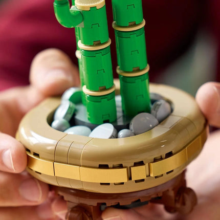 LEGO® Botanicals 10344 Bambus štěstí