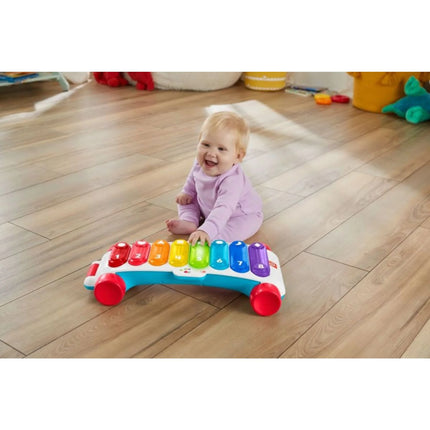 Fisher-Price Obří xylofon (cs, sk, en, hu, pl)