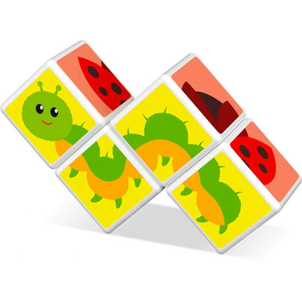 Geomag Magicube Hmyz