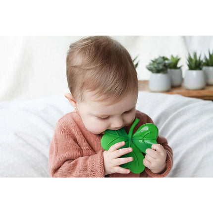 Lanco Kousátko trojlístek