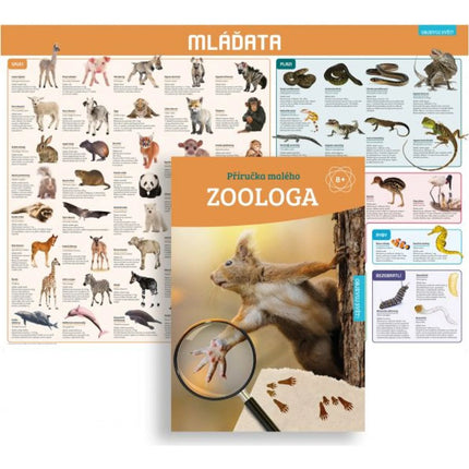 Mláďata Objevuj svět