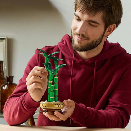 LEGO® Botanicals 10344 Bambus štěstí