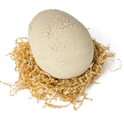 Primal Hatch Dino interaktivní T-rex líhnoucí se z vejce