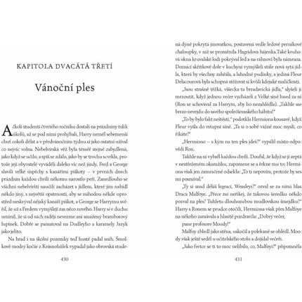 Harry Potter a Ohnivý pohár (2021)