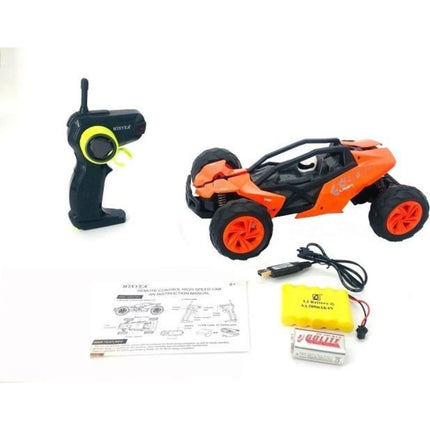 Rychlá bugina 1 : 14