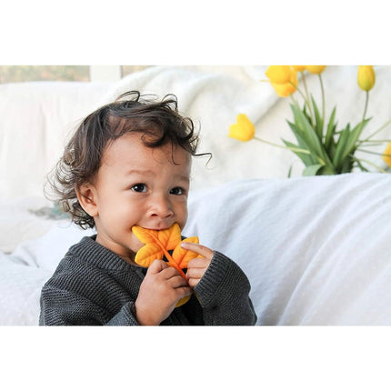 Lanco Kousátko zlatý list