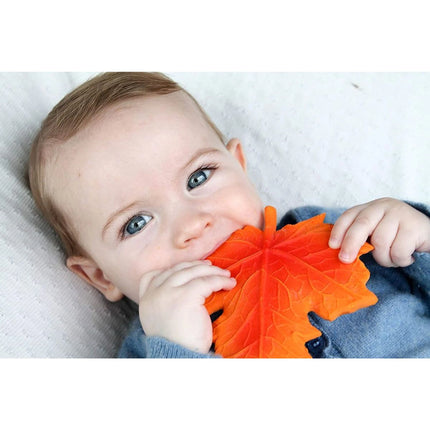 Lanco Kousátko podzimní list