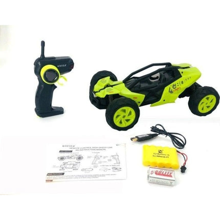 Rychlá bugina 1 : 14