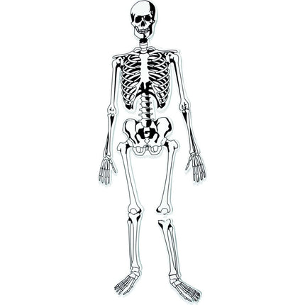 Learning Resources Pěnová puzzle kostra