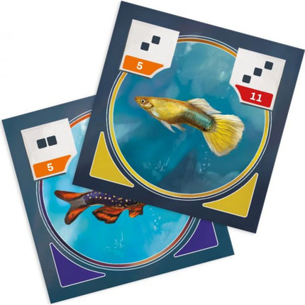 Akvárko (české a slovenské vydání)