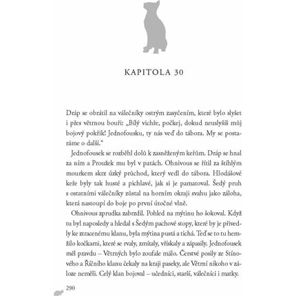 Kočičí válečníci (2) Oheň a led