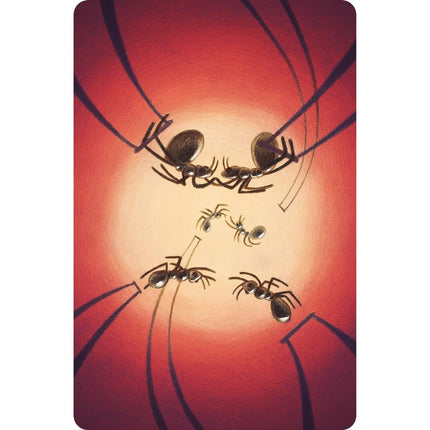 Dixit 8. rozšíření Harmonies