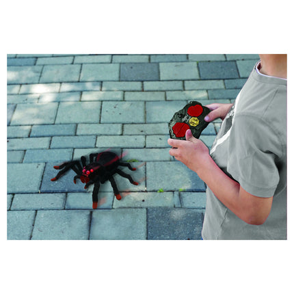 Lexibook Realistický pavouk na dálkové ovládání