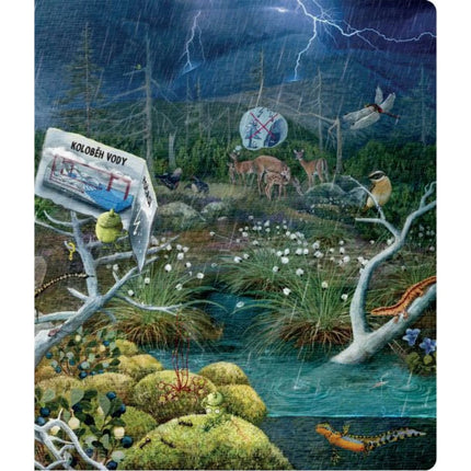 Kouzelné čtení Kniha Hravá přírodověda