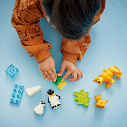 LEGO® DUPLO® 10442 Rodinky divokých zvířat: Tučňáci a lvi