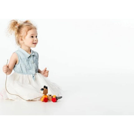 CUBIKA Tahací kočka