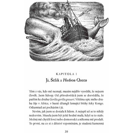 Sally Jones a dopis od mrtvého