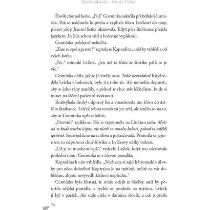 Kočičí válečníci: Síla tří (1) Vidění