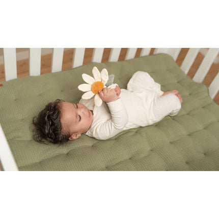 Chrastítko květina Farma