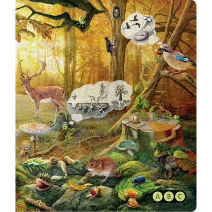 Kouzelné čtení Kniha Hravá přírodověda