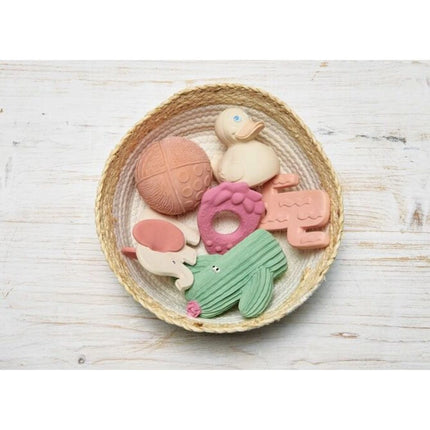 Lanco Kousátko kaktus