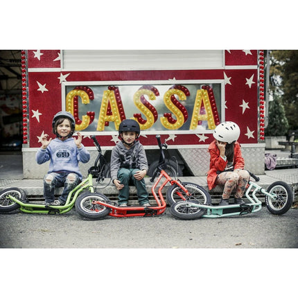 Koloběžka Wzoom black