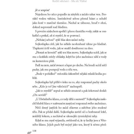 Kočičí válečníci: Síla tří (1) Vidění