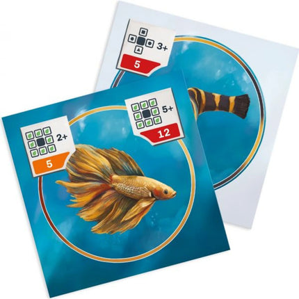 Akvárko (české a slovenské vydání)