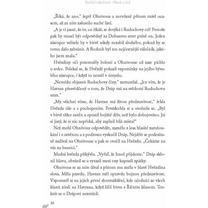 Kočičí válečníci (2) Oheň a led